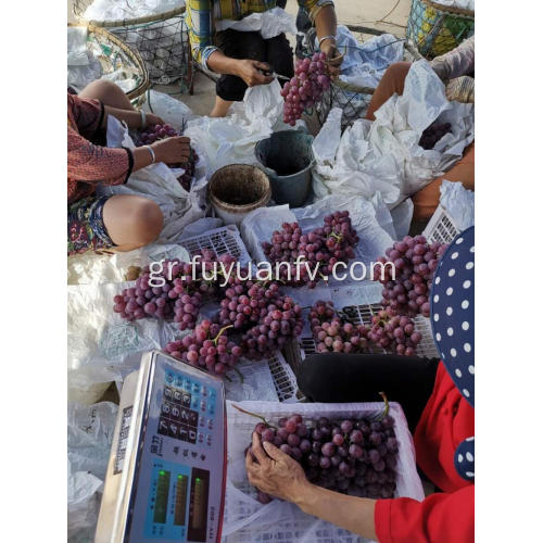 Κόκκινα σταφύλια από το Γιουνάν